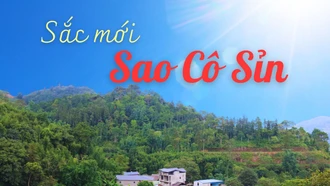 Sắc mới Sao Cô Sỉn