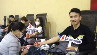 Năm 2024, toàn tỉnh vận động và tiếp nhận 7.000 đơn vị máu trở lên