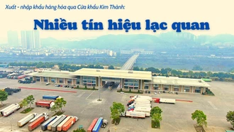 Nhiều tín hiệu lạc quan