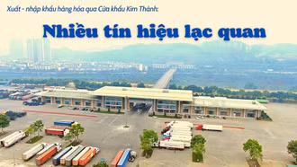 Nhiều tín hiệu lạc quan