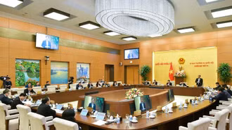 Đề nghị nghiên cứu mở rộng đấu giá biển số xe tải, xe khách, mô-tô