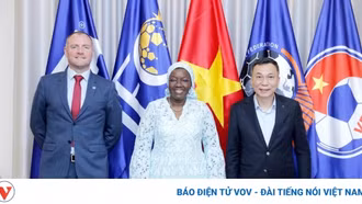 Chủ tịch VFF làm việc với FIFA vì tương lai bóng đá Việt Nam