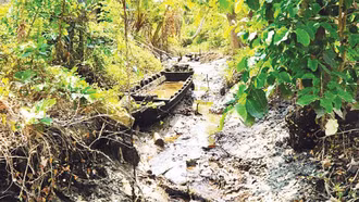 Năm 2024, thiên tai tiếp tục diễn biến bất thường