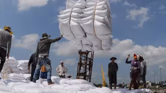 "Xuất khẩu gạo Việt Nam phải đảm bảo vị thế số 1 ở Philippines"