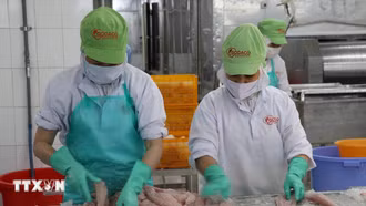 Xuất khẩu nông lâm thủy sản năm 2024 sẽ đạt 54 tỷ USD