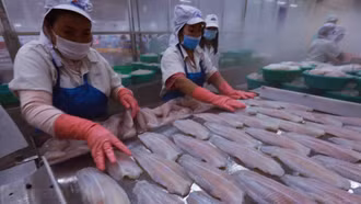 Chuyên gia: Bí quyết giúp doanh nghiệp Việt chinh phục các thị trường tỷ dân