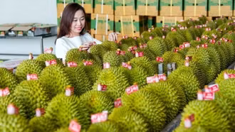 Tăng tài trợ thương mại có thể giúp xuất khẩu của Việt Nam thêm 55 tỷ USD mỗi năm