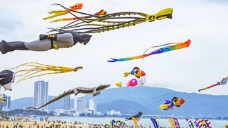Lễ hội Diều quốc tế quy tụ 100 chủng diều trên thế giới trình diễn ở Quảng Nam