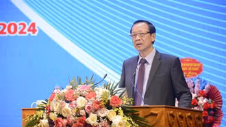 Giáo dục STEM: Sáng tạo nhưng không gây áp lực, không áp đặt tư duy