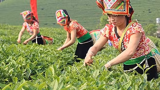 Quy định mới về hỗ trợ đất sản xuất cho hộ đồng bào dân tộc thiểu số nghèo