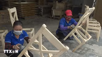 Xuất khẩu lâm sản 6 tháng tăng trên 21% so với cùng kỳ năm 2023