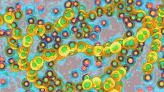 Bệnh hiếm gặp lây lan kỷ lục, Nhật Bản vẫn chưa tìm ra nguyên nhân