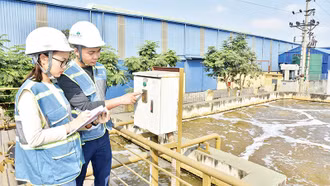 Tăng trưởng xanh trong doanh nghiệp