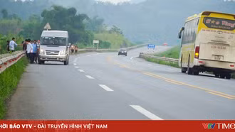 Xử phạt gần 500 trường hợp vi phạm trên cao tốc Nội Bài - Lào Cai