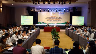 Cần sớm đưa Luật Tư pháp người chưa thành niên vào cuộc sống