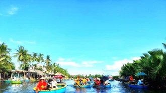 Du ngoạn rừng dừa Bảy Mẫu
