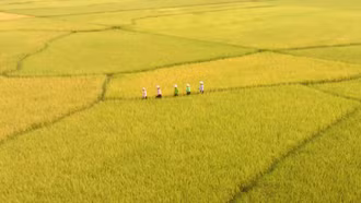 Bảo Yên tổ chức cuộc thi sáng tác mỹ thuật “Dấu ấn Nghĩa Đô xanh trong tranh”