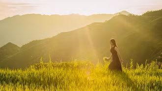 Lung linh Xím Vàng