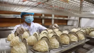 Sẵn sàng xuất khẩu tổ yến sang Trung Quốc