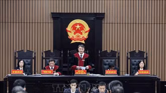 Tuyên án 38 bị cáo trong vụ Việt Á