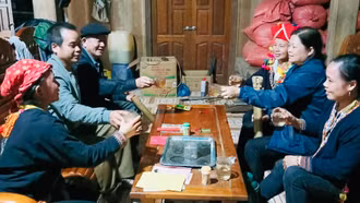 Chè cổ thụ của người Dao Nậm Miện