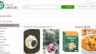 100% sản phẩm OCOP lên sàn thương mại điện tử tỉnh Lào Cai 