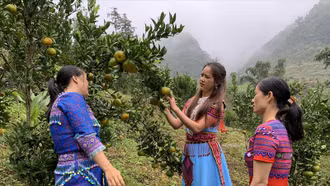 Nông sản 4.0 kể chuyện giá trị bản địa