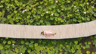 Đến Ninh Bình ngắm Hang Múa mùa sen nở