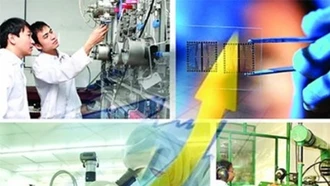 Kết nối, cập nhật dữ liệu vào Cơ sở dữ liệu quốc gia về khoa học và công nghệ