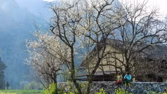 Những ngôi nhà trình tường trên cao nguyên đá