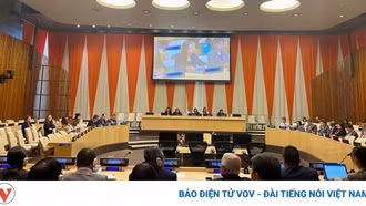 Việt Nam sẽ tích cực hỗ trợ Myanmar thúc đẩy giải pháp hòa bình và bền vững