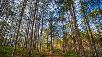 Báo Singapore gợi ý 3 địa điểm ở Việt Nam để "trốn nóng" mùa hè này