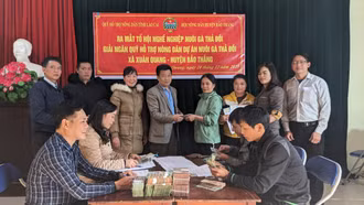 Bảo Thắng: Ra mắt Tổ hội nghề nghiệp nuôi gà thả đồi