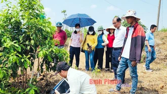 Lợi thế từ chuyển đổi số nông nghiệp