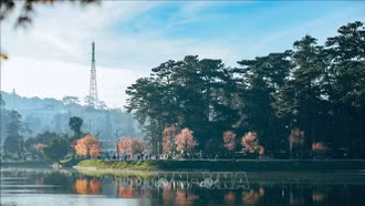 Đà Lạt cam kết giữ vững danh hiệu Thành phố Sáng tạo âm nhạc UNESCO