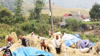 Lào Cai: Nhiều giải pháp hạn chế khí thải từ sinh hoạt tại nông thôn