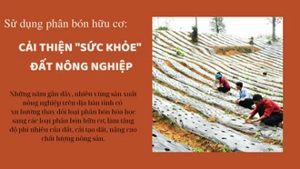 Sử dụng phân bón hữu cơ: Cải thiện "sức khỏe" đất nông nghiệp