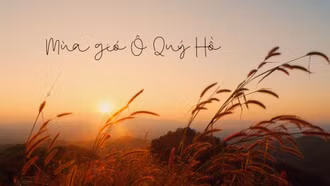 Mùa gió Ô Quý Hồ