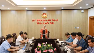 9 đội sẽ tham gia tranh tài tại Giải Bóng chuyền Vô địch quốc gia, Cup Hóa chất Đức Giang năm 2024