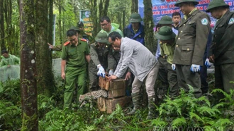 Bảo tồn đa dạng sinh học - vì một tương lai xanh