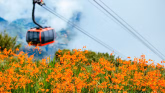 Trong dịp Lễ hội hoa dơn thóc được tổ chức tại Fansipan, 9 tỉnh Tây Bắc mở rộng được giảm giá vé cáp treo