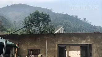 Thiệt hại hơn 700 triệu đồng do mưa dông tại Văn Bàn