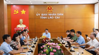 Lào Cai đứng đầu cả nước về số giao dịch khai thác dữ liệu qua nền tảng tích hợp, chia sẻ dữ liệu quốc gia