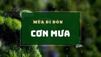 Mùa đi đón cơn mưa