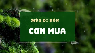 Mùa đi đón cơn mưa