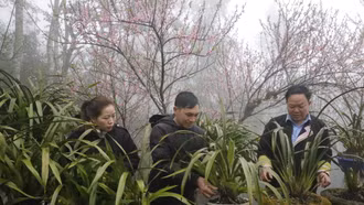 Đảng viên là hạt nhân trong xây dựng thôn kiểu mẫu