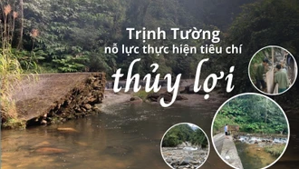 Trịnh Tường nỗ lực thực hiện tiêu chí thủy lợi