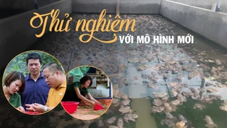 Thử sức với mô hình mới