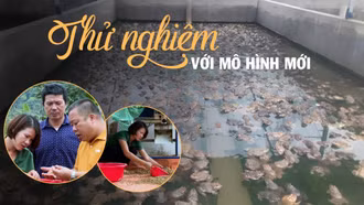 Thử sức với mô hình mới