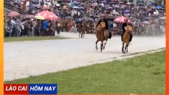 32 ngựa đua vào vòng chung kết giải đua ngựa truyền thống Bắc Hà